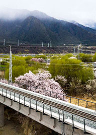 青岛除尘设备,青岛废气治理,青岛废气处理,青岛污水处理,青岛污水处理设备